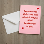 Funny Poem Rude Valentine’s Day Card For Her