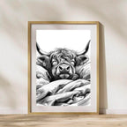 Sleeping Highland Cow Print