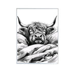 Sleeping Highland Cow Print