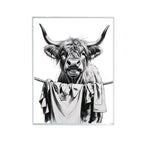 Highland Cow Sorting The Laundy