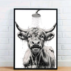 Highland Cow Taking A Shower Print
