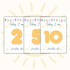 20 Baby Milestone Keepsake Cards