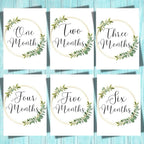 Floral Gold Baby Milestone Cards 1 to 12 Months