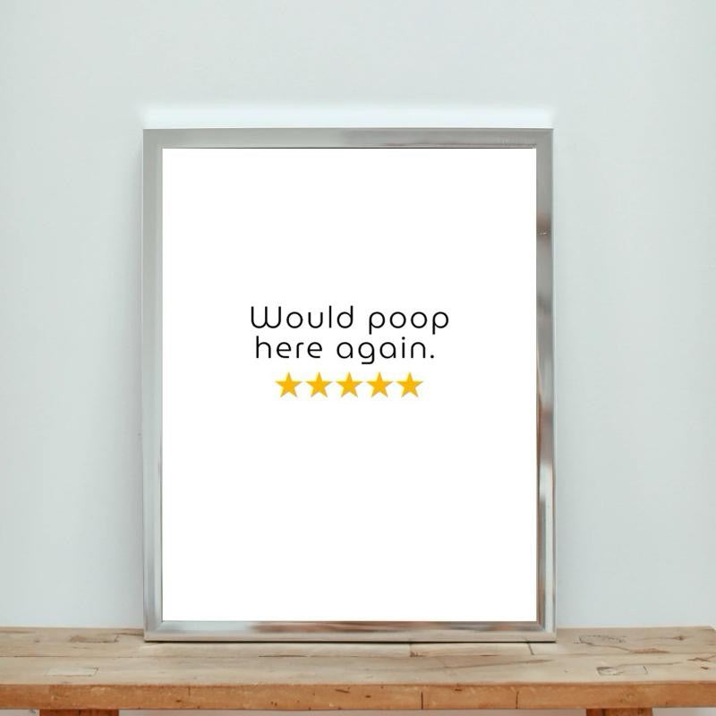 Would poop here again bathroom print