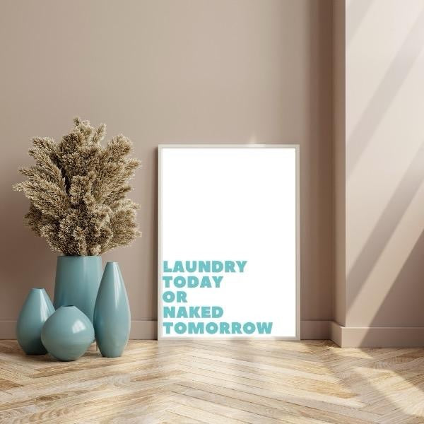 Laundry Today Or Naked Tomorrow