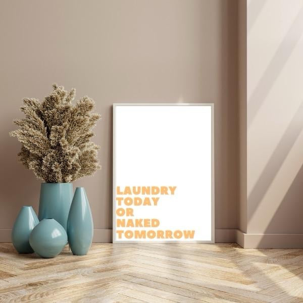 Laundry Today Or Naked Tomorrow