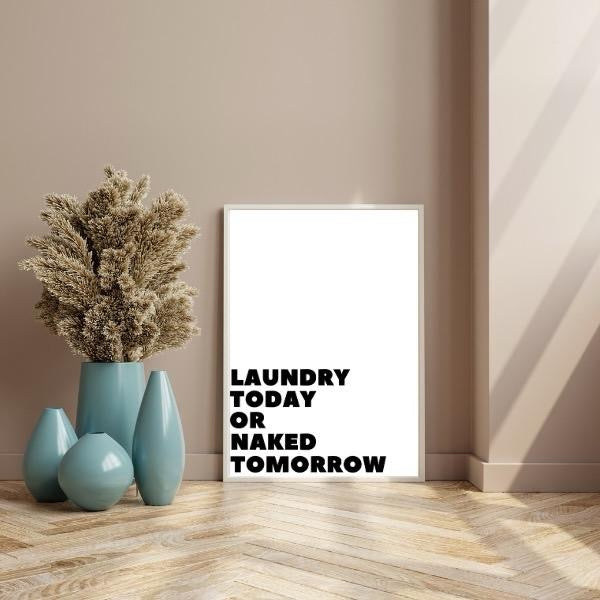Laundry Today Or Naked Tomorrow