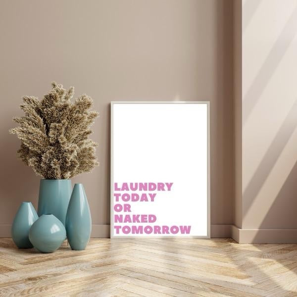 Laundry Today Or Naked Tomorrow