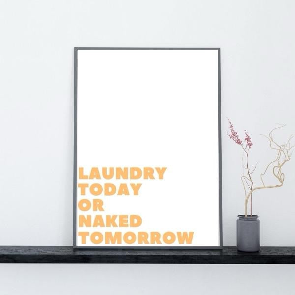 Laundry Today Or Naked Tomorrow