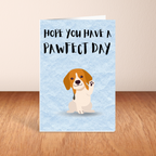 Hope You Have A Pawfect Day - Birthday Card