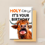 Holy Cow It’s Your Birthday – Funny Highland Cow Card