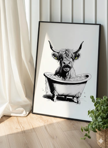 Highland Cow Having A Bath