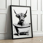 Highland Cow Having A Bath